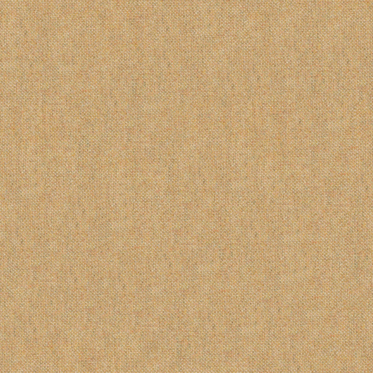 Forward camel09 fabric sample