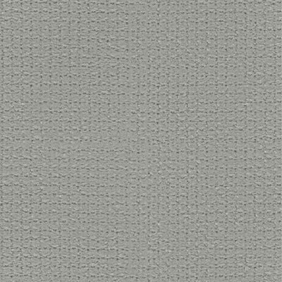 Regain light grey 60 fabric swatch